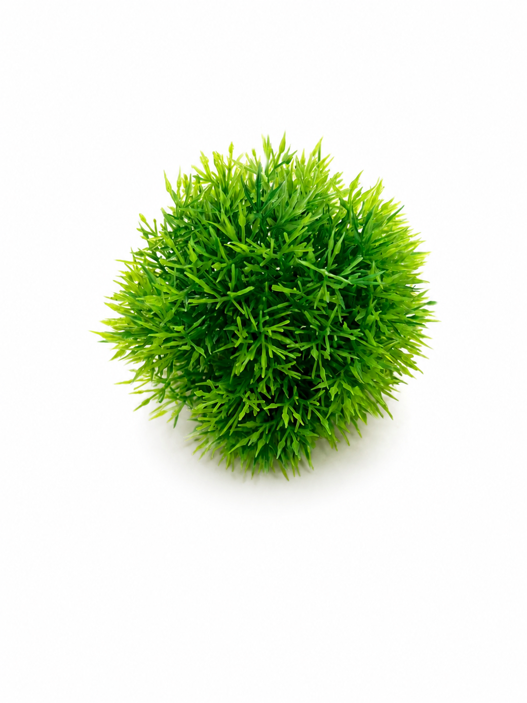 ENFEITE PLANTA BOLINHA