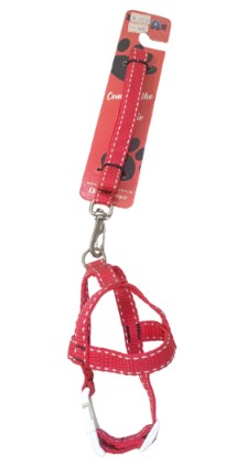 GUIA + PEITORAL NYLON SIMPLES N0 PARA CÃES DE 0 A 1KG VERMELHO