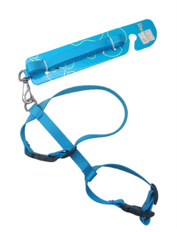 GUIA + PEITORAL PARA GATOS N2 DE 4 A 5,5KG