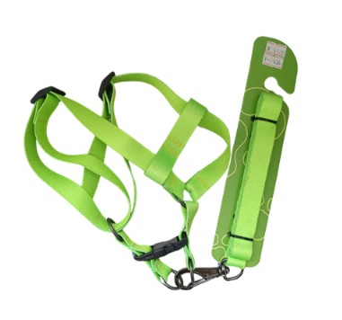 GUIA + PEITORAL N5 FITA 20MM PARA CÃES DE 6 A 8KG
