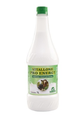 VITALLONE PRO ENERGY 1L