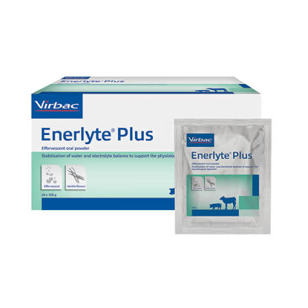 ENERLYTE PLUS 100G